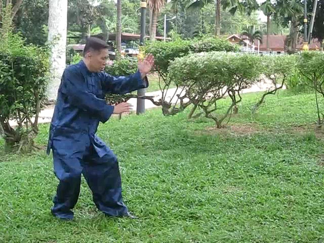 Wu Yu Xiang Style Taijiquan